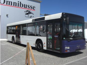 MAN Lions City A21 ATG - Городской автобус