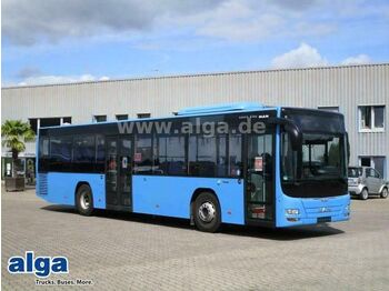 Городской автобус MAN Lions City, A78, Euro 6, A/C, 43 Sitze: фото 1