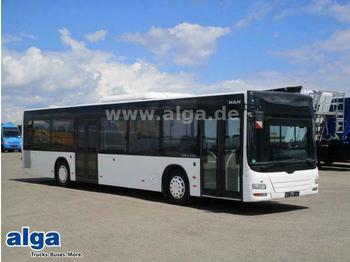 Городской автобус MAN Lions City, A 21, NL 313, A/C, 41 Sitze: фото 1