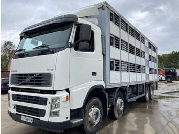 Грузовик для перевозки животных Volvo FH 12.460 **LIVESTOCK TRANSPORT-LAMES-FULL STEEL**: фото 1