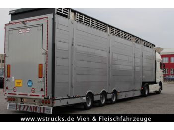 Новый Полуприцеп для перевозки животных Pezzaioli SBA31-SR  3 Stock "Neu" Vermietung: фото 1