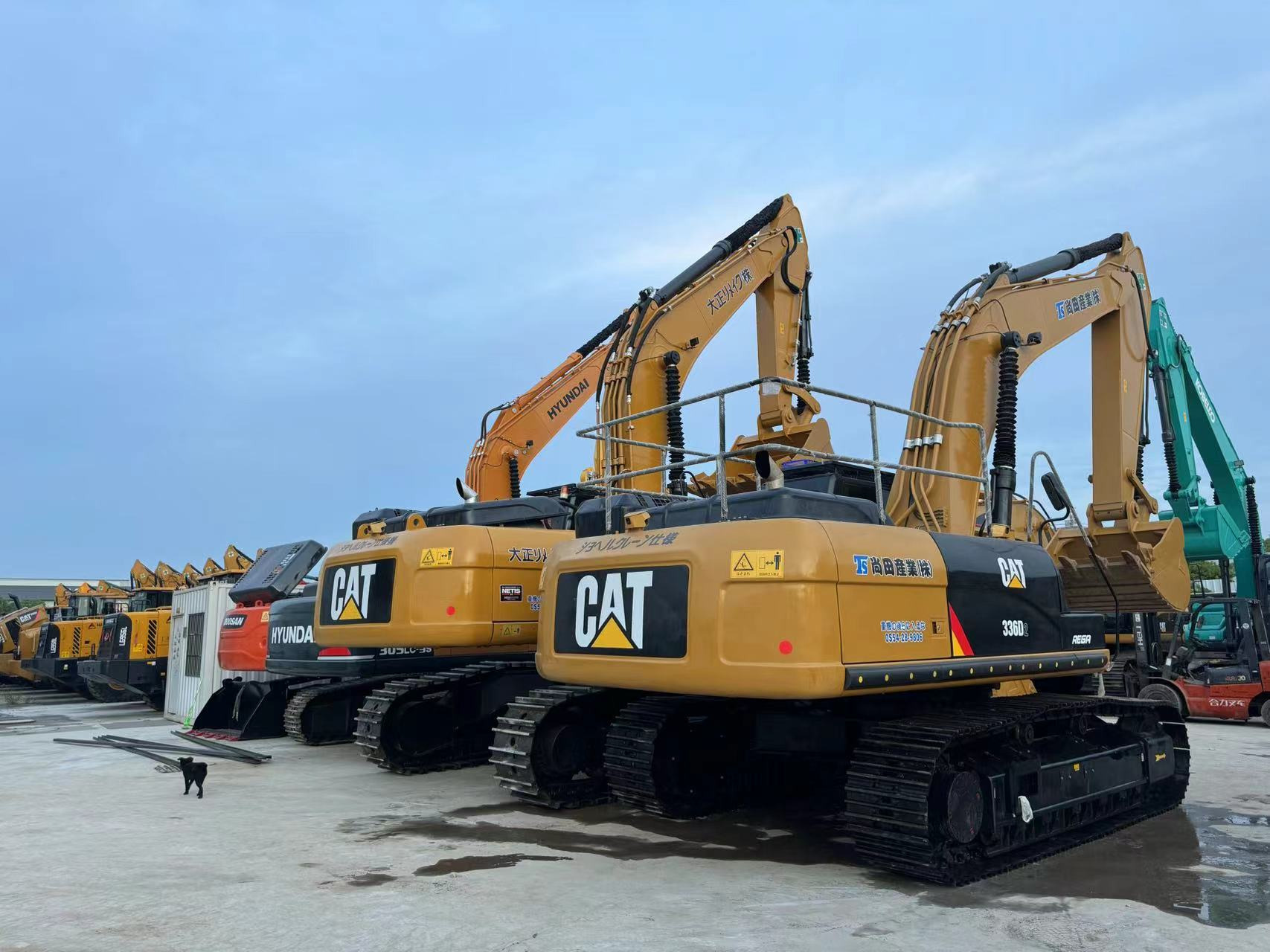 Sunight Development Company Limited undefined: фото 2