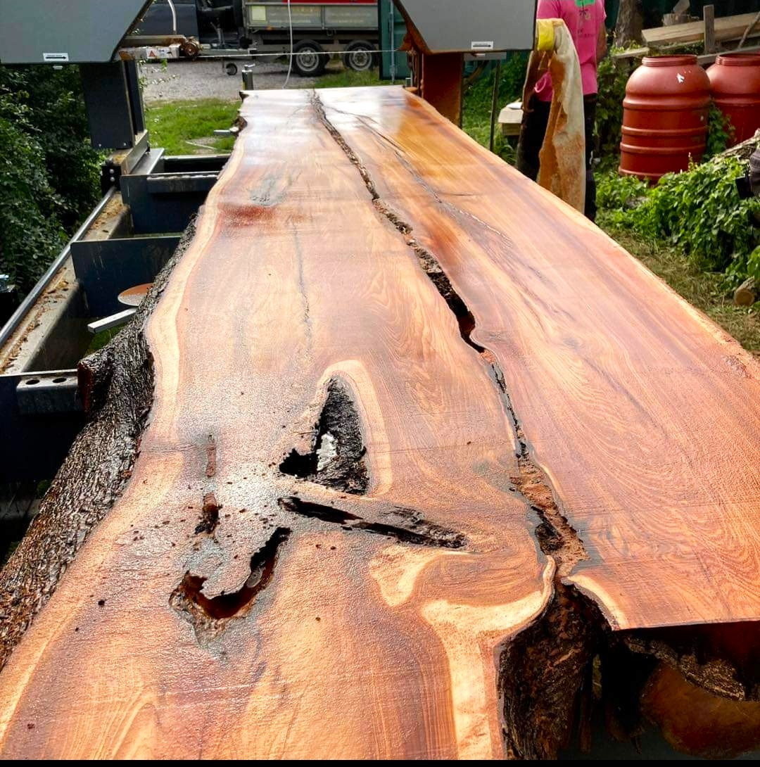 TRAK-MET undefined: фото 38