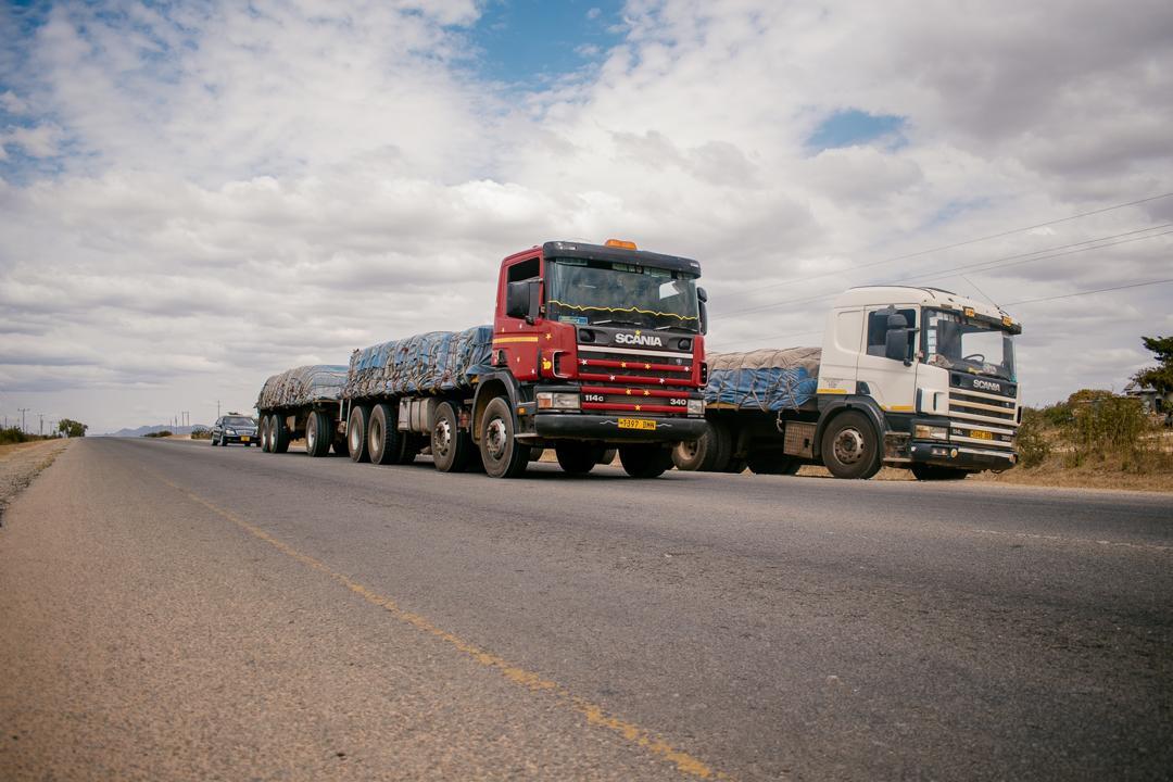 Britannia Export Consultants Limited undefined: фото 21