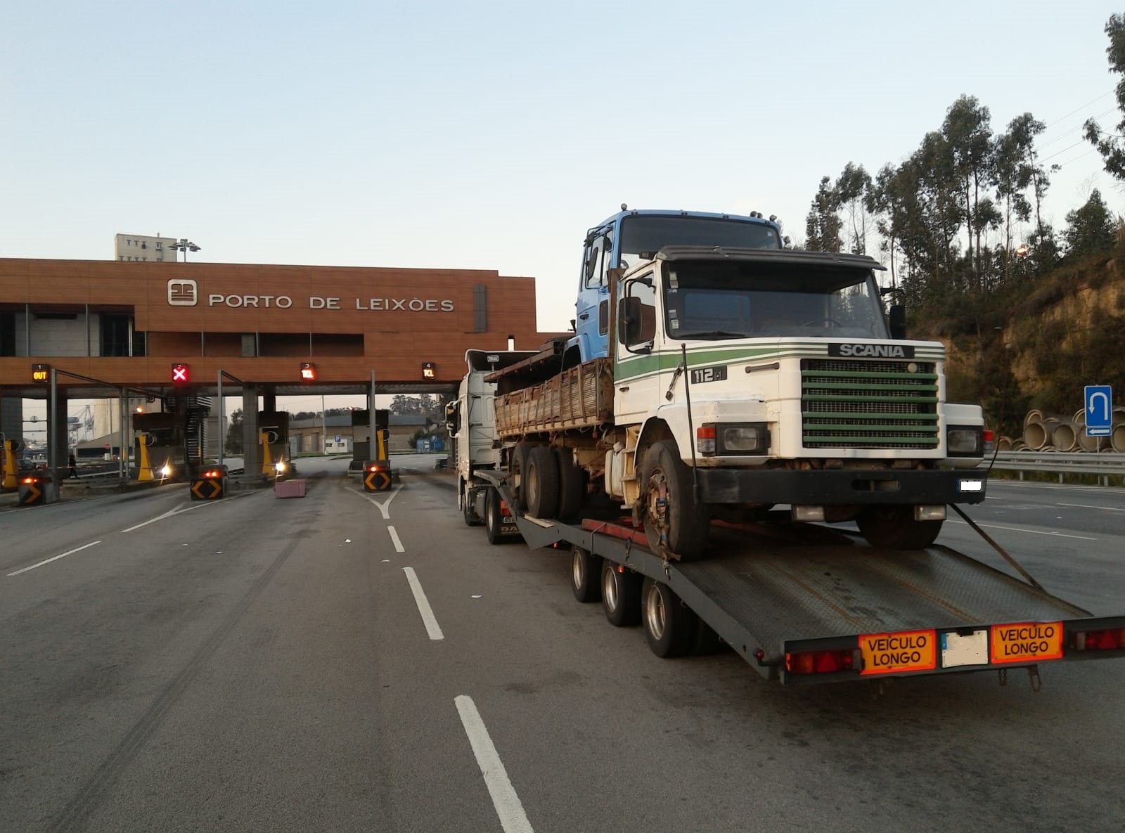 Britannia Export Consultants Limited undefined: фото 5