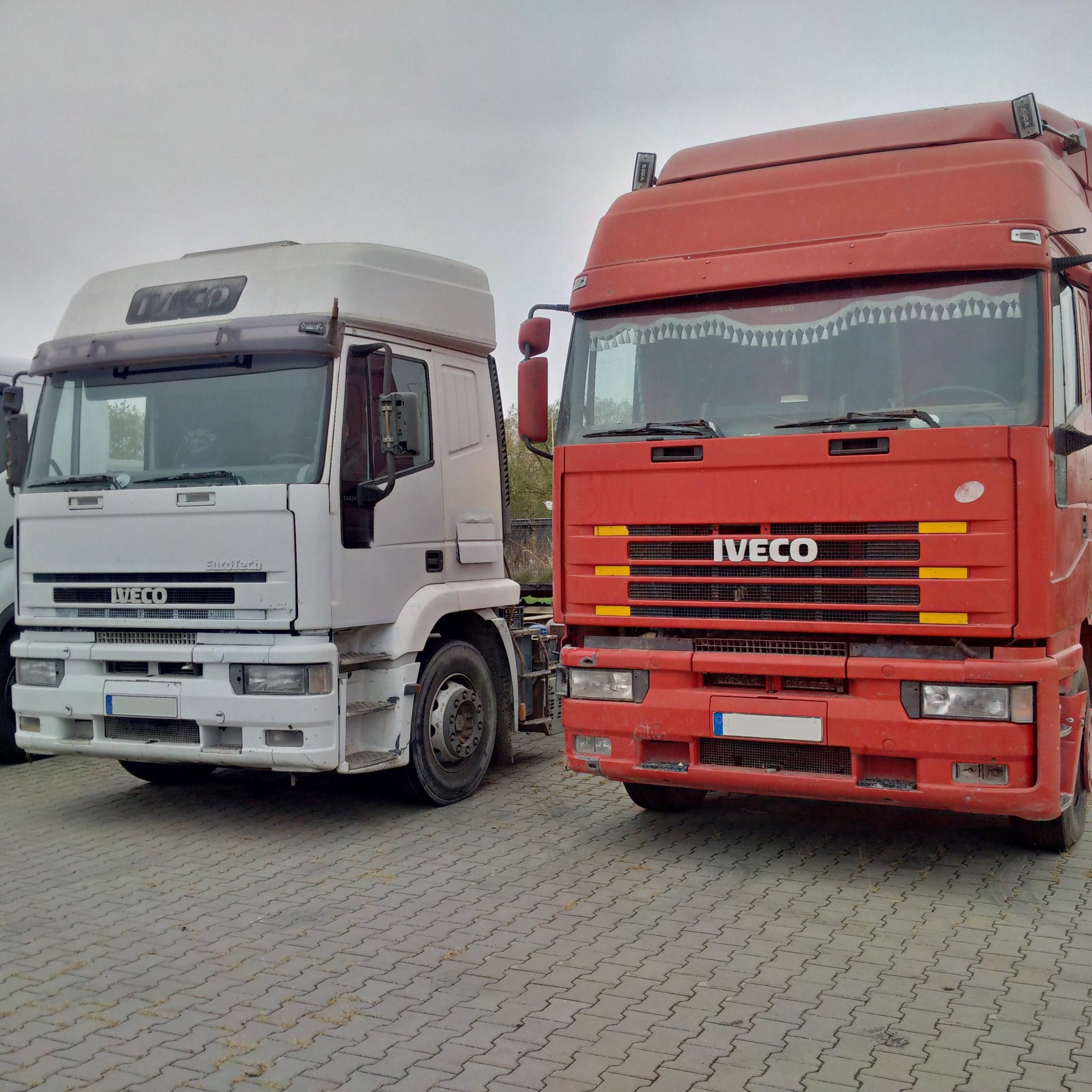 Britannia Export Consultants Limited undefined: фото 27