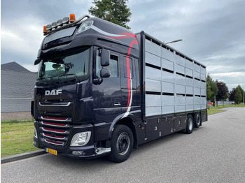 Грузовик для перевозки животных DAF XF 460