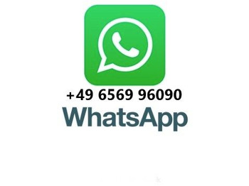 Грузовик-шасси Mercedes-Benz Actros MP 2  2532 6x2: фото 2