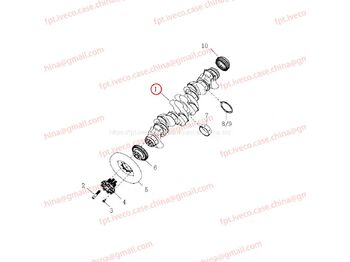 Коленчатый вал MAN