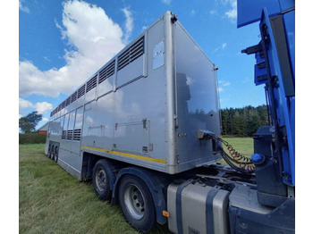 Полуприцеп для перевозки животных Gray and Adams Gadd3 / Works Great / Hydraulic / 2 Levels: фото 4 Полуприцеп для перевозки животных Gray and Adams Gadd3 / Works Great / Hydraulic / 2 Levels: фото 4