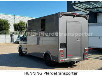 Грузовик для перевозки животных MAN TGE 3 - Sitzer *KLIMA PFERDEABTEIL*: фото 3