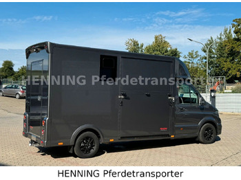 Грузовик для перевозки животных MAN TGE 3 - Sitzer *KLIMA PFERDEABTEIL*: фото 5