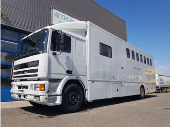 Коневоз DAF 95 350