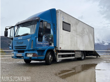 Грузовик для перевозки животных IVECO EuroCargo