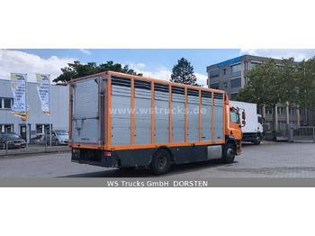 Коневоз DAF CF 400 Menke Einstock Viehtransporter: фото 5