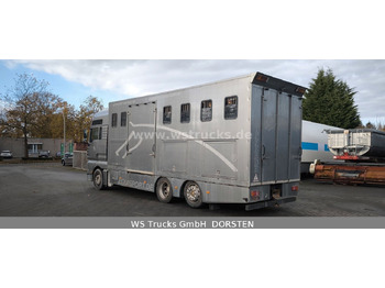 Новый Коневоз MAN TGA 26.480 FG   6x2 Pferdetransporter Luft/Luft: фото 5