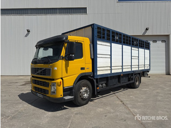 Косилка-измельчитель/ Мульчер 2003 Volvo FM12 420 4x2 Camion Betaillere Livestock Truck: фото 2