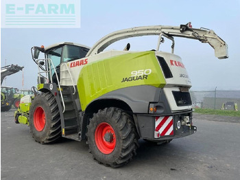 Кормоуборочный комбайн CLAAS Jaguar 950
