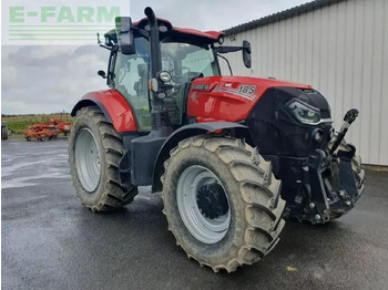 Трактор Case-IH puma 185 cvx drive CVX: фото 2