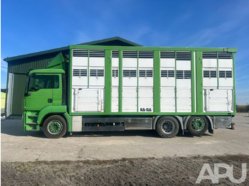 Грузовик для перевозки животных MAN TGS 26.440 DO PRZEWOZU BYDŁA: фото 2