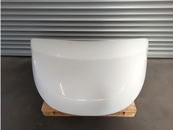 Аэродинамика/ Спойлеры для Грузовиков DAF LF: фото 4