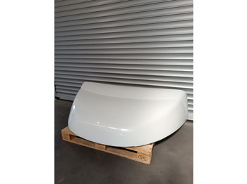 Аэродинамика/ Спойлеры для Грузовиков DAF LF: фото 3