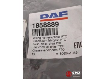 Кабели/ Провода для Грузовиков DAF Occ Kabelboom chassis PTO DAF XF105: фото 2