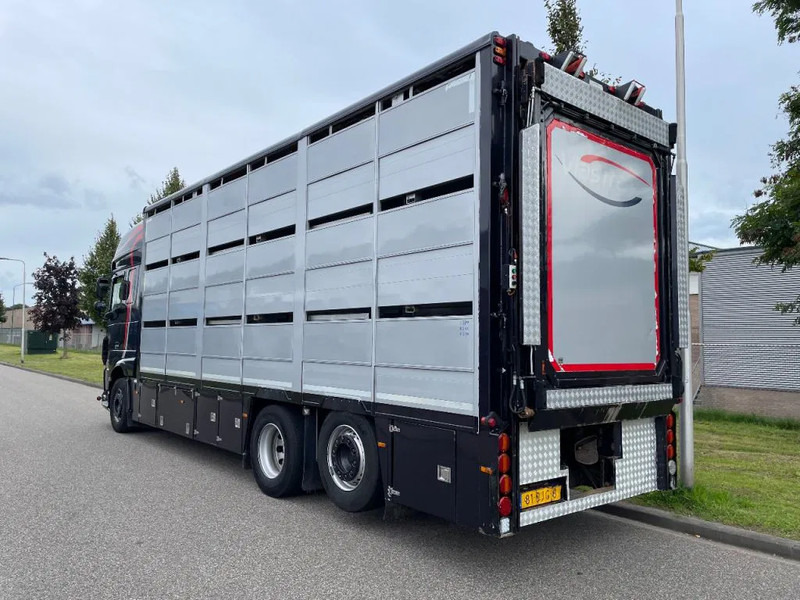 DAF XF 460 2017 berdex 3 lagen varkens - Грузовик для перевозки животных: фото 2 DAF XF 460 2017 berdex 3 lagen varkens - Грузовик для перевозки животных: фото 2