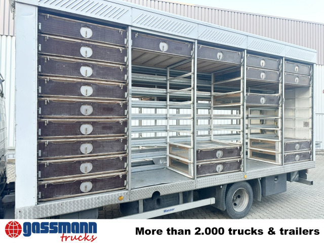 Mercedes-Benz LK 817 4x2, Taubentransporter - Грузовик с закрытым кузовом: фото 4 Mercedes-Benz LK 817 4x2, Taubentransporter - Грузовик с закрытым кузовом: фото 4