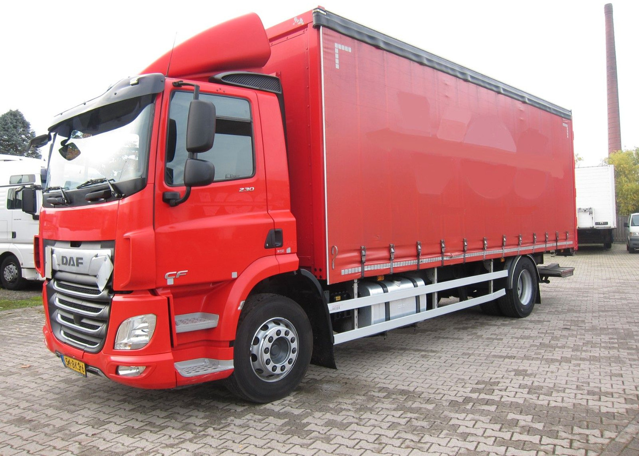 DAF CF 230 19T Schiebeplane LDW Portalturen - Тентованный грузовик: фото 2 DAF CF 230 19T Schiebeplane LDW Portalturen - Тентованный грузовик: фото 2