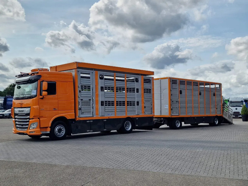 DAF XF 530 4x2 - Livestock Menke + 2018 Menke trailer 2 deck - Water + Ventilation - Lifting roof - Грузовик для перевозки животных: фото 3 DAF XF 530 4x2 - Livestock Menke + 2018 Menke trailer 2 deck - Water + Ventilation - Lifting roof - Грузовик для перевозки животных: фото 3