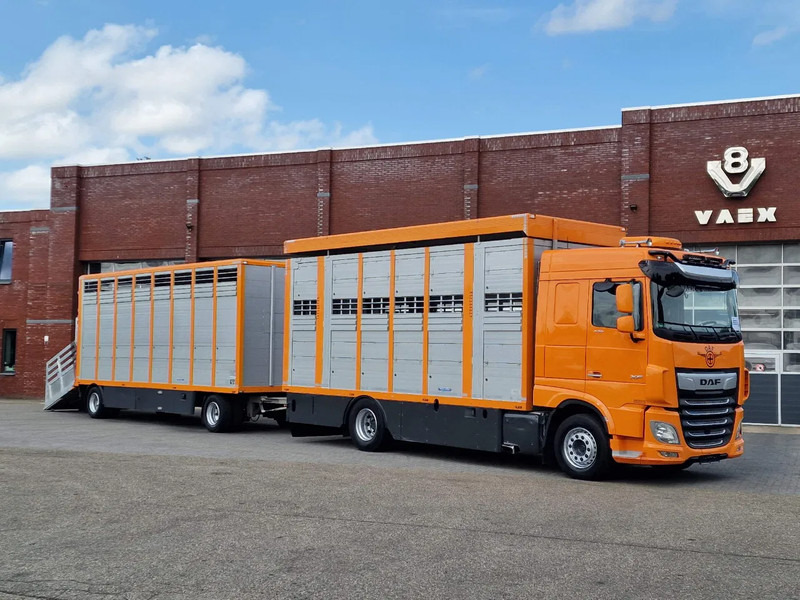 DAF XF 530 4x2 - Livestock Menke + 2018 Menke trailer 2 deck - Water + Ventilation - Lifting roof - Грузовик для перевозки животных: фото 1 DAF XF 530 4x2 - Livestock Menke + 2018 Menke trailer 2 deck - Water + Ventilation - Lifting roof - Грузовик для перевозки животных: фото 1