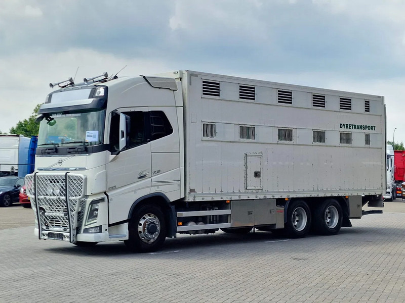Volvo FH 16.750 6x6/6x4 2 deck livestock - Full air - VEB + - Грузовик для перевозки животных: фото 5 Volvo FH 16.750 6x6/6x4 2 deck livestock - Full air - VEB + - Грузовик для перевозки животных: фото 5