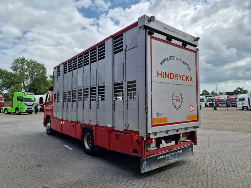Volvo FM 250 4x- Livestock 2 deck - Lifting floors - Loadlift - Manual gearbox - Грузовик для перевозки животных: фото 5 Volvo FM 250 4x- Livestock 2 deck - Lifting floors - Loadlift - Manual gearbox - Грузовик для перевозки животных: фото 5