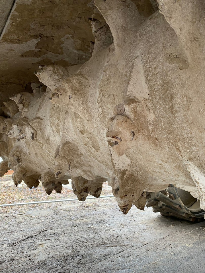 Wirtgen WS 2500 в лизинг Wirtgen WS 2500: фото 7