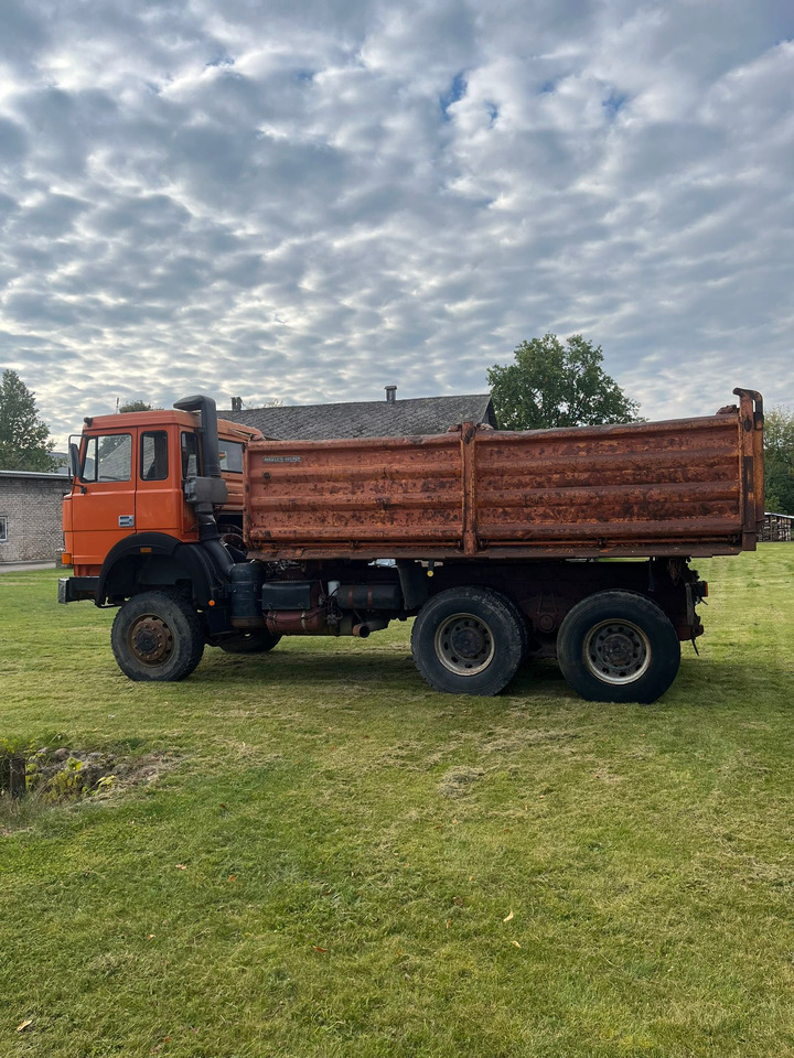 IVECO Magirus 260-30 - Самосвал: фото 4 IVECO Magirus 260-30 - Самосвал: фото 4