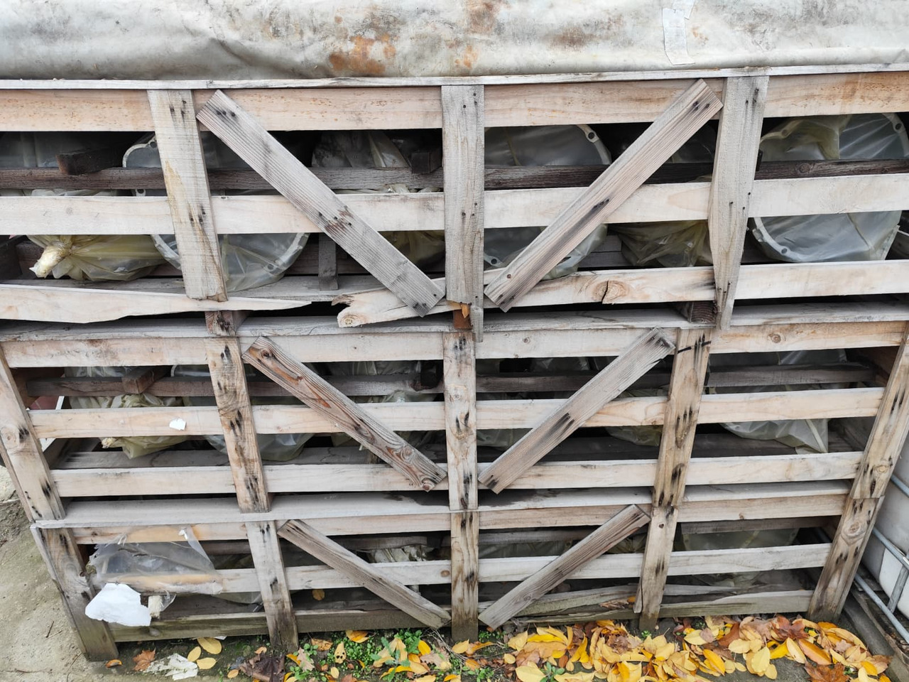 HYUNDAI DYMOS T032S5 - Коробка передач для Грузовиков: фото 4 HYUNDAI DYMOS T032S5 - Коробка передач для Грузовиков: фото 4