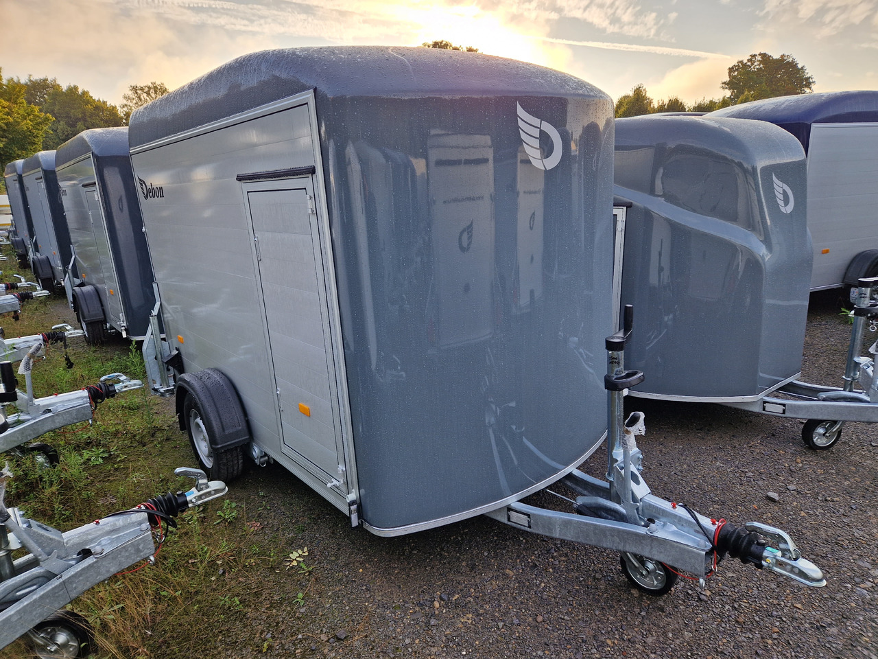Cargo Roadster 300 300x150x184cm Alu Poly irongrey Seitentür Pullman 100 km/H 1300kg - Прицеп-фургон: фото 1 Cargo Roadster 300 300x150x184cm Alu Poly irongrey Seitentür Pullman 100 km/H 1300kg - Прицеп-фургон: фото 1