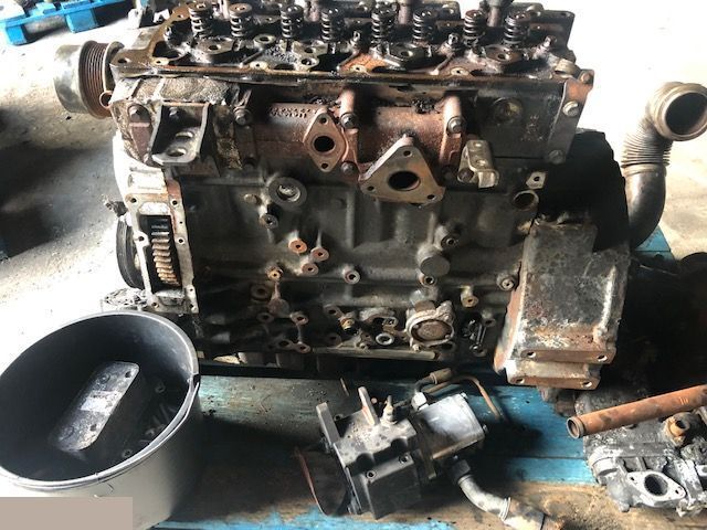 Deutz TCD 3.6 L4 - Głowica Wał Blok Cylindrów Wałek Rozrządu - Головка блока для Сельскохозяйственной техники: фото 1 Deutz TCD 3.6 L4 - Głowica Wał Blok Cylindrów Wałek Rozrządu - Головка блока для Сельскохозяйственной техники: фото 1