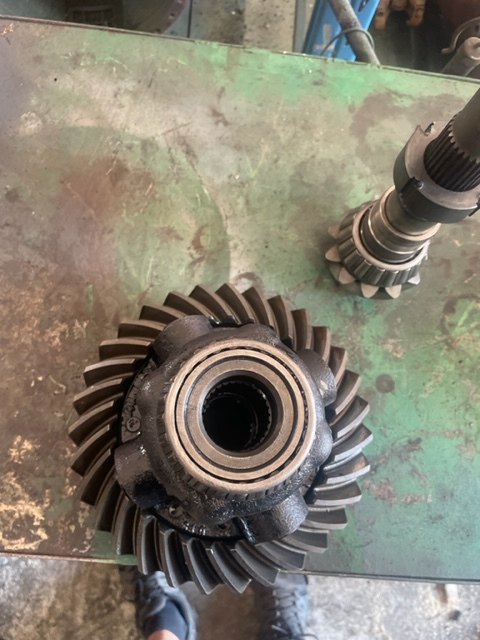 New holland LM atak talerz 11/31 , 11x31 , mechanizm róźnicowy , dyferencjał - Дифференциал для Сельскохозяйственной техники: фото 4 New holland LM atak talerz 11/31 , 11x31 , mechanizm róźnicowy , dyferencjał - Дифференциал для Сельскохозяйственной техники: фото 4