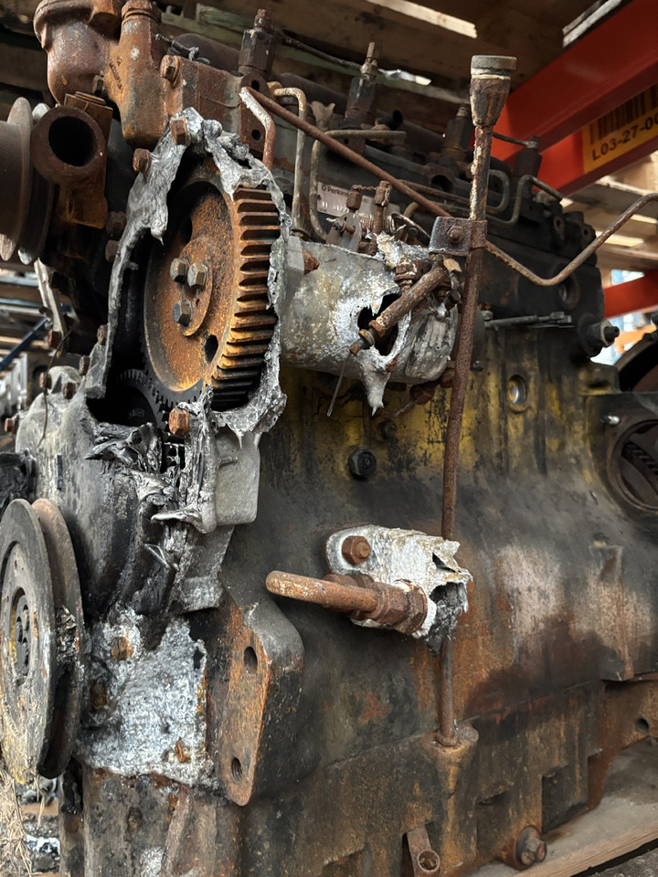 Perkins LF31227 Silnik Blok Tryb Koło Pasowe Pokrywa Kolektor Koło Zamachowe CZĘŚCI - Маховик для Сельскохозяйственной техники: фото 5 Perkins LF31227 Silnik Blok Tryb Koło Pasowe Pokrywa Kolektor Koło Zamachowe CZĘŚCI - Маховик для Сельскохозяйственной техники: фото 5