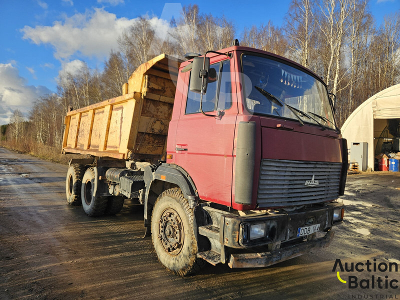 Maz 551669 - Самосвал: фото 1 Maz 551669 - Самосвал: фото 1