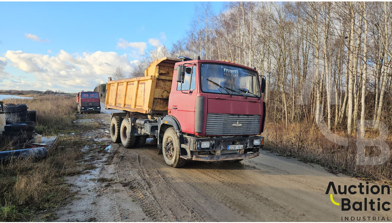 Maz 551669 - Самосвал: фото 2 Maz 551669 - Самосвал: фото 2