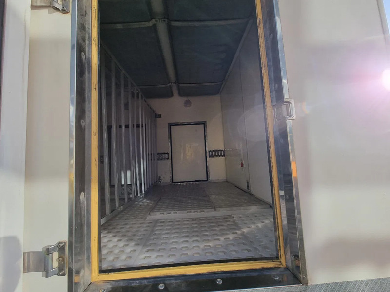 Рефрижератор MAN TGL 12.250 EURO 6/ IJswagen/ Coldcar/ Eiswagen/ Tiefkuhl 5+5: фото 11
