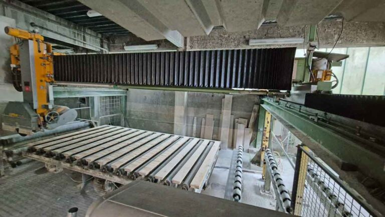 Löffler TB600W – bridge saw / Brückensäge - Станок: фото 1 Löffler TB600W – bridge saw / Brückensäge - Станок: фото 1