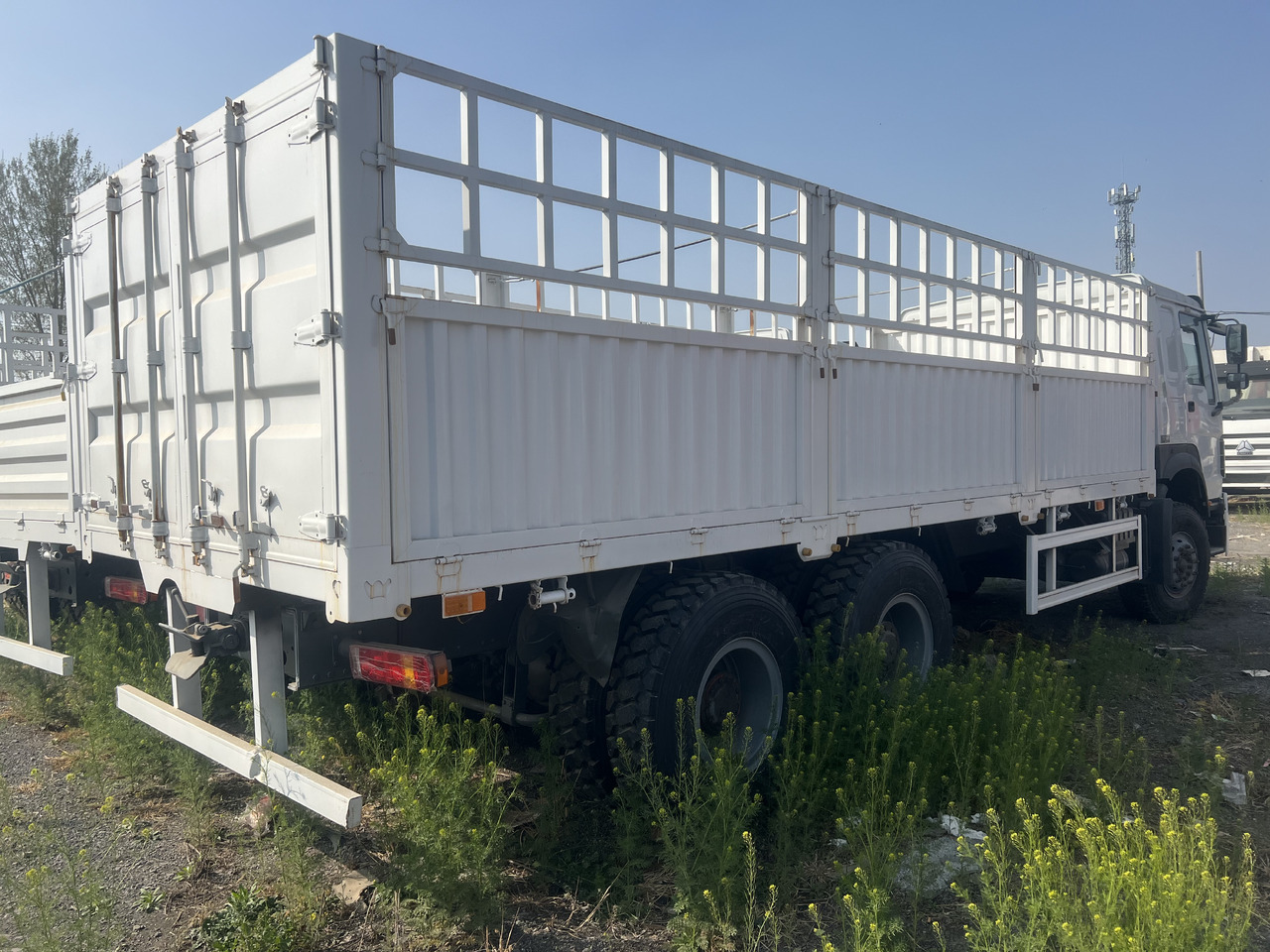 SINOTRUK HOWO Tipper Dump Truck with Fence 6*4 8*4 - Грузовик для перевозки животных: фото 5 SINOTRUK HOWO Tipper Dump Truck with Fence 6*4 8*4 - Грузовик для перевозки животных: фото 5