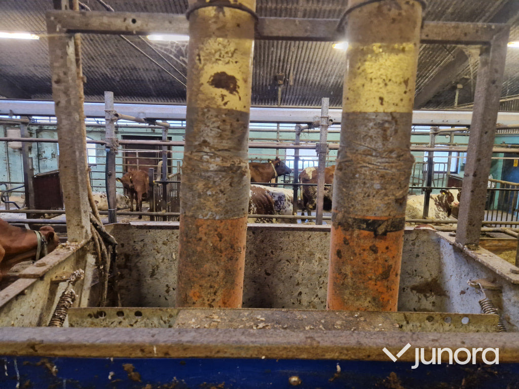 Foderstationer - Delaval, FSC40, 2st - Инвентарь для животноводства: фото 2 Foderstationer - Delaval, FSC40, 2st - Инвентарь для животноводства: фото 2