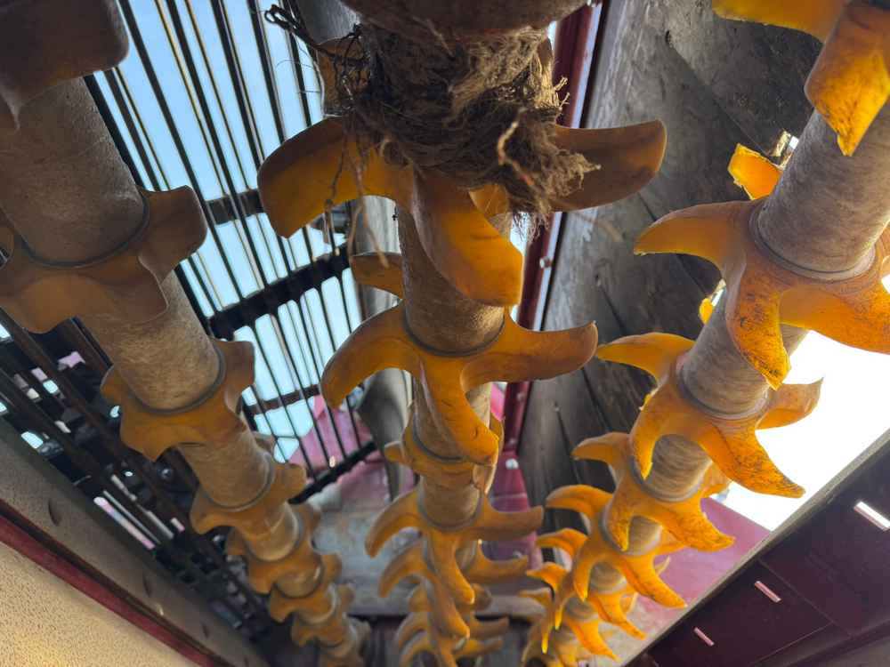 Картофелеуборочный комбайн Scanstone 4215 WDH: фото 6