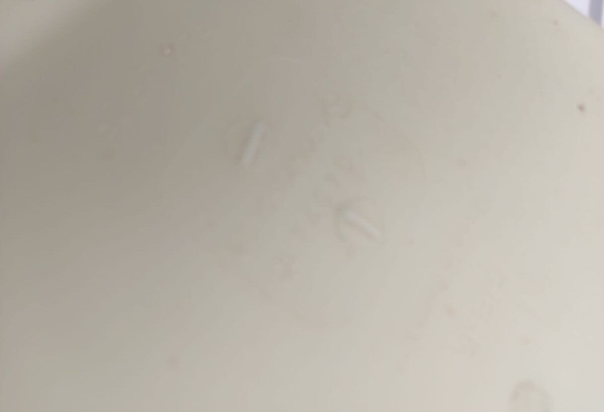 Mercedes-Benz A9062050406 Mercedes-Benz Actros Axor truck - Вентилятор для Грузовиков: фото 5 Mercedes-Benz A9062050406 Mercedes-Benz Actros Axor truck - Вентилятор для Грузовиков: фото 5