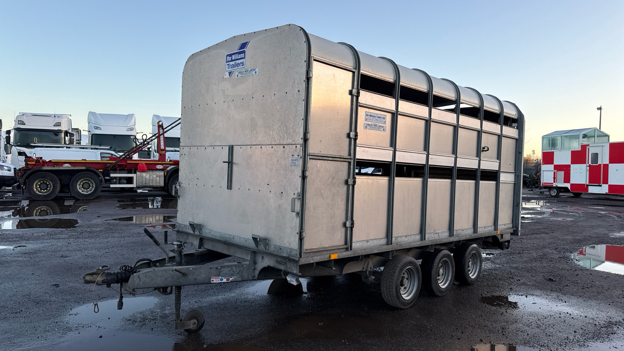 IFOR WILLIAMS DP120S3-4 - Прицеп для перевозки животных: фото 3 IFOR WILLIAMS DP120S3-4 - Прицеп для перевозки животных: фото 3